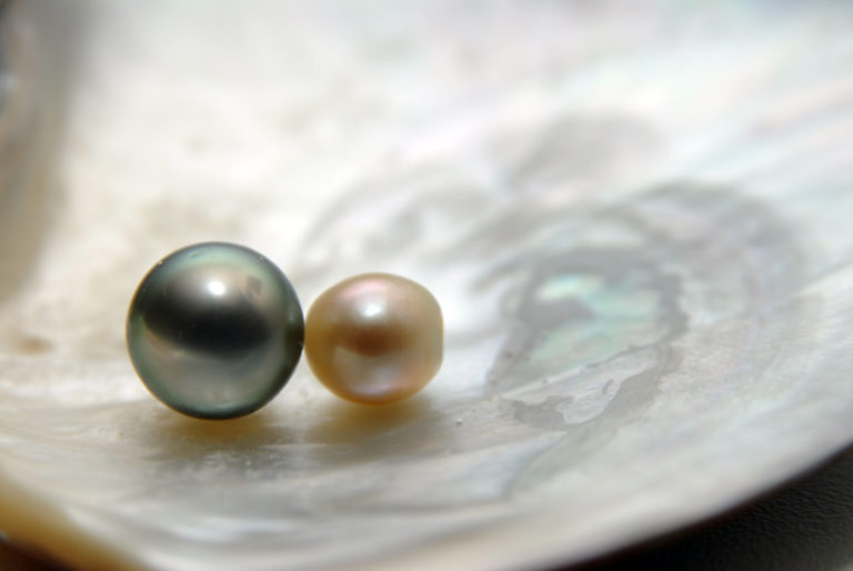 真珠種類